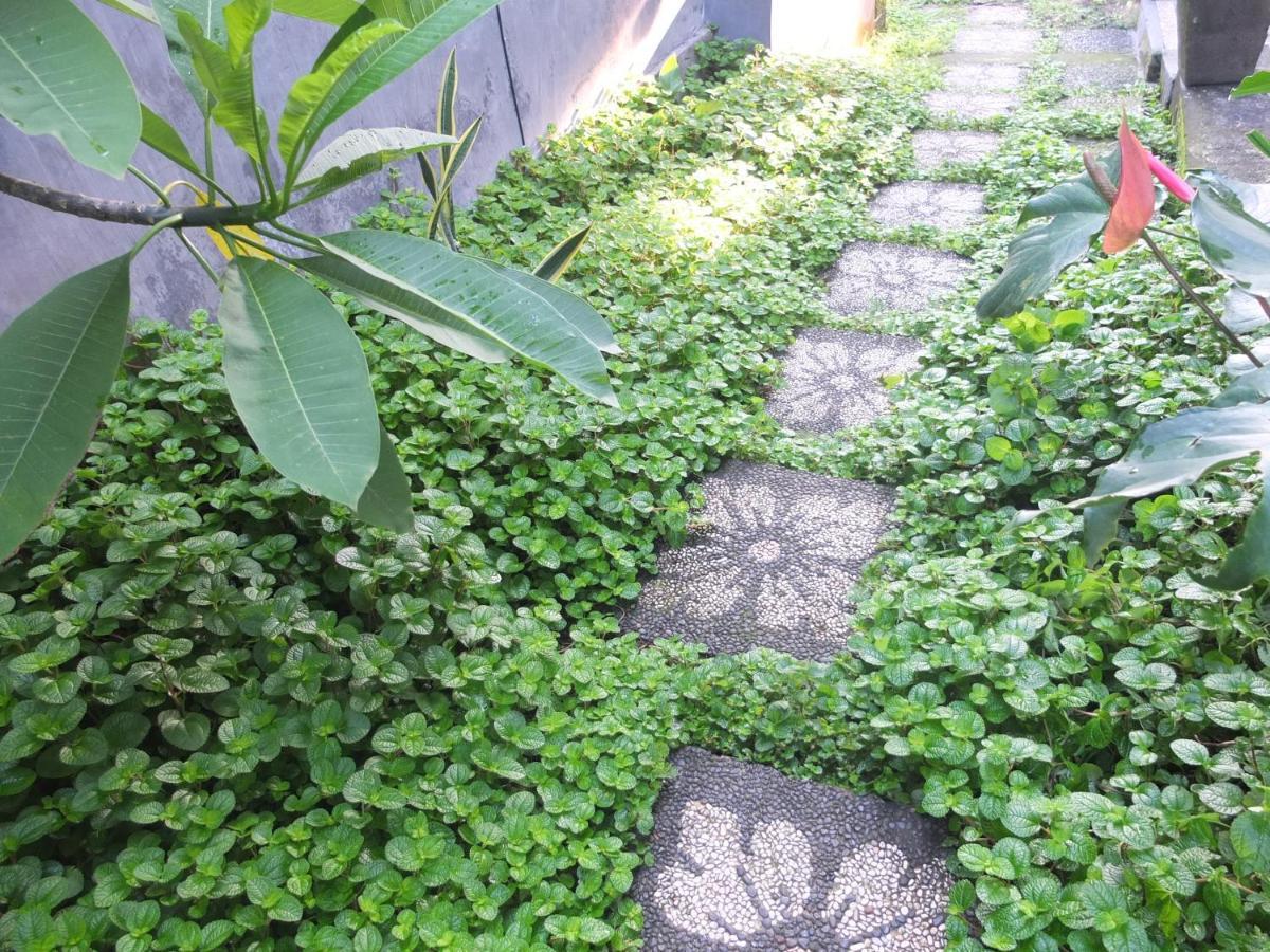 Ojek'S Homestay Ubud Exterior foto