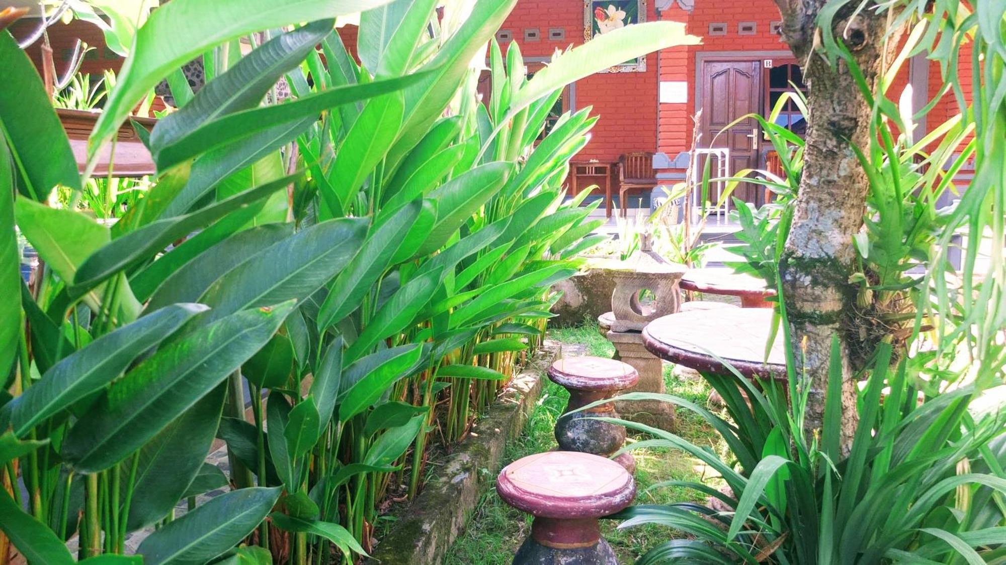 Ojek'S Homestay Ubud Exterior foto